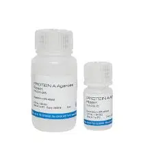 Nickel NTA Agarose Resin - 100 mL